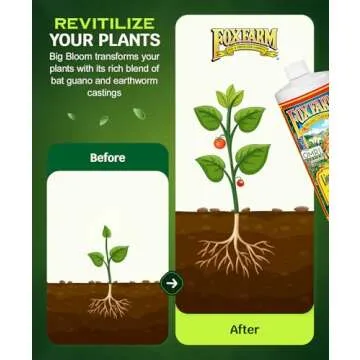FoxFarm - Big Bloom Plant Food, Liquid Fertilizer Concentrate for Flowers, Fruits, and Vegetables, All Purpose Plant Fertilizer for Indoor & Outdoor Potted Plants, NPK 0.01-0.03-0.7 (Quart)
