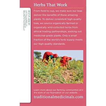 Traditional Medicinals Mother's Milk Tea - Organic Tea for Breastfeeding, Traditional Medicines Lactation Tea, Pack 1
