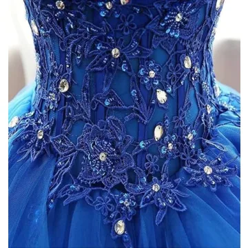 Elegant Fair Lady Lace Tulle Prom Dress for All Sizes