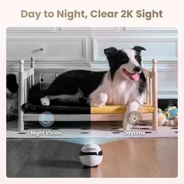 EBO Air 2 Pet Camera Robot with Night Vision and 2K Video