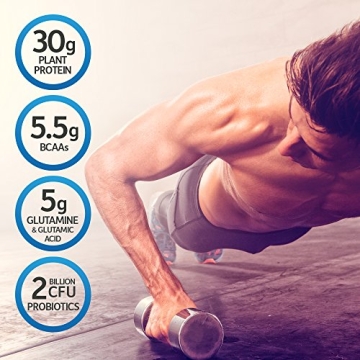 Organic Vegan Protein Powder with Probiotics and BCAAs