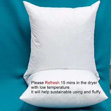 Warmwithann Set of 2 Cozy Cotton Pillow Inserts for All