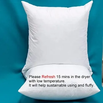 Warmwithann Set of 2 Cozy Cotton Pillow Inserts for All