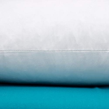 Warmwithann Set of 2 Cozy Cotton Pillow Inserts for All