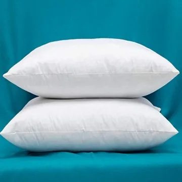Warmwithann Set of 2 Cozy Cotton Pillow Inserts for All
