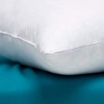 Warmwithann Set of 2 Cozy Cotton Pillow Inserts for All