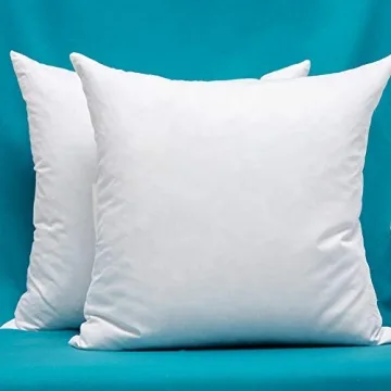 Warmwithann Set of 2 Cozy Cotton Pillow Inserts for All