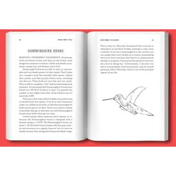 Birds Aren't Real: A Satirical Take on Surveillance