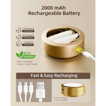 EZVALO Picture Lights for Wall,2000mAh Rechargeable Battery Magnetic Poster Lights with 2 Color Temp...