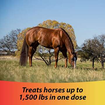 Farnam IverCare (ivermectin paste) 1.87%, Anthelmintic and Boticide, Treats Horses Up to 1500 lbs, E...