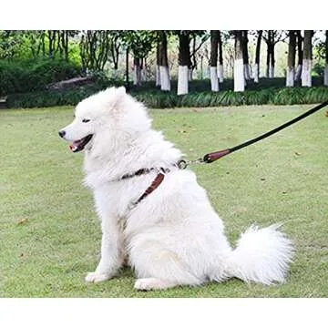 MayPaw 4 FT/6 FT/8 FT/10 FT Dog Leash, Classic Solid Colors, Strong Nylon Rope Dog Leash Reinforced with Leather Tailor Connection Heavy Duty Silver Clasp (6ft*1/2", Black)