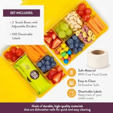 Snack Box Containers Set of 2 - Reusable Meal Prep Solution