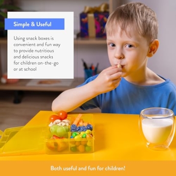 Snack Box Containers Set of 2 - Reusable Meal Prep Solution