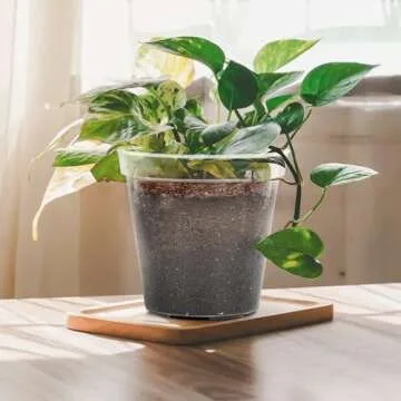 GREANER 9 Inch 10 Packs Clear Nursery Pots, Plastic Nursery Pot for Plants, Durable Seed Starting Pot with Drainage Holes, Flexible Transparent Pot for Outdoor Indoor Plants（20 Plant Labels）