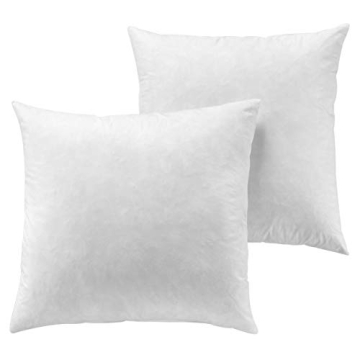 24x24 Down Feather Pillow Inserts Set of 2 for Home Decor
