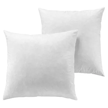24x24 Down Feather Pillow Inserts Set of 2 for Home Decor