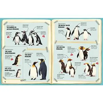 Do Penguins Like the Cold? Engaging Guide for Kids