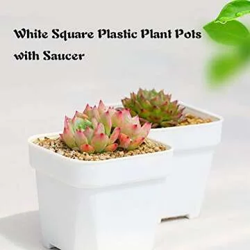 OJYUDD 3-Inch White Square Pots with Saucer Set