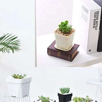 OJYUDD 3-Inch White Square Pots with Saucer Set