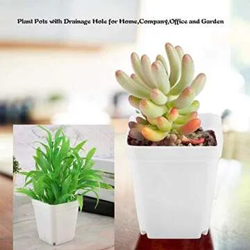 OJYUDD 3-Inch White Square Pots with Saucer Set