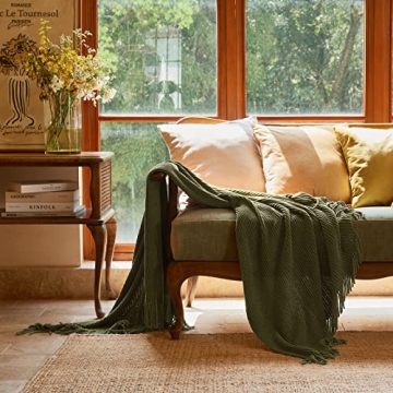 LIFEIN Soft Green Throw Blanket for Couch and Home Decor