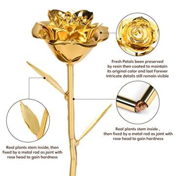 24K Gold Dipped Rose - Perfect Gift for Girlfriend
