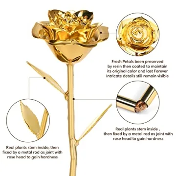 24K Gold Dipped Rose - Perfect Gift for Girlfriend