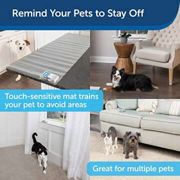 PetSafe ScatMat for Effective Indoor Pet Training