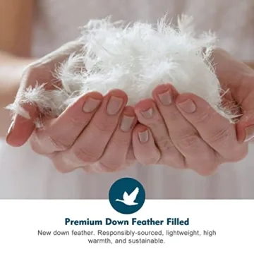 Oaken-Cat Organic Cotton California King Down Comforter