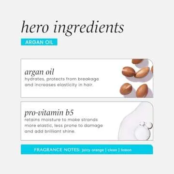 HASK Repairing ARGAN OIL 5-in-1 Leave In Conditioner Spray for all hair types, color safe, gluten free, sulfate free, paraben free - 2 PIECE SET