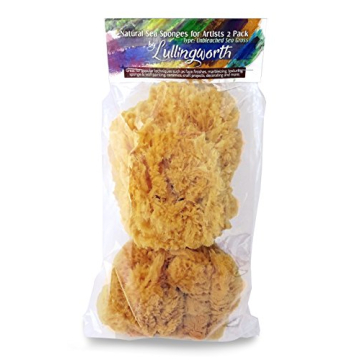 Natural Sea Sponges for Artists - Unbleached 5"-5.5" 2pc Value Pack: Great for Painting Decorating T...