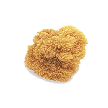 Natural Sea Sponges for Artists - 5"-5.5" 2pc Value Pack