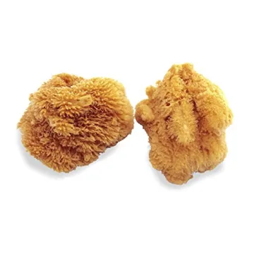 Natural Sea Sponges for Artists - 5"-5.5" 2pc Value Pack