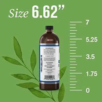 Nature's Sunshine Silver Shield Liquid Immune Support 16 Fl Oz