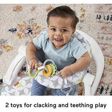 Fisher-Price Portable Baby Chair With Toys & Washable Pad