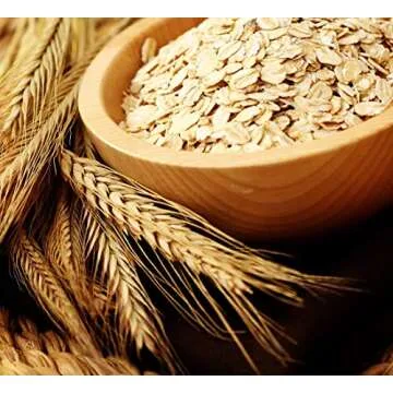 Vet's Best Waterless Cat Bath | No Rinse Waterless Dry Shampoo for Cats | Veterinarian Formulated | 4 Ounces,Green