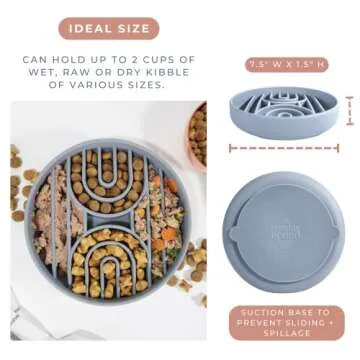 SUNDAY HOUND Slow Feeder Dog Bowl for Healthy Eating