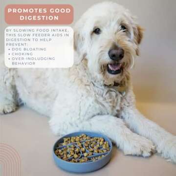 SUNDAY HOUND Slow Feeder Dog Bowl for Healthy Eating