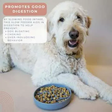 SUNDAY HOUND Slow Feeder Dog Bowl for Healthy Eating