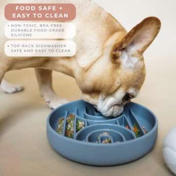 SUNDAY HOUND Slow Feeder Dog Bowl for Healthy Eating