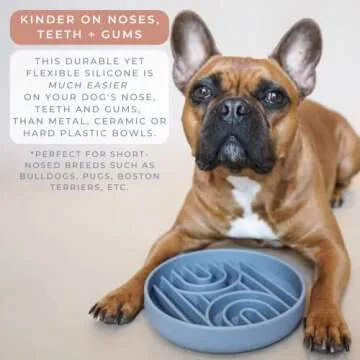 SUNDAY HOUND Slow Feeder Dog Bowl for Healthy Eating