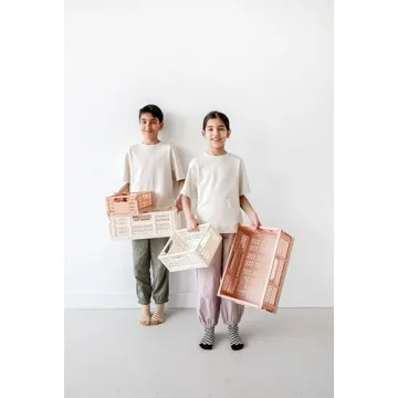 Stylish 3 Sprouts Eco-Friendly Storage Crate - Cream