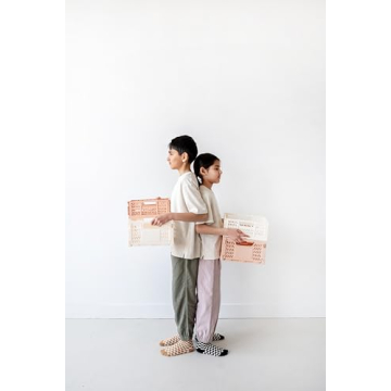 Stylish 3 Sprouts Eco-Friendly Storage Crate - Cream