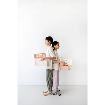 Stylish 3 Sprouts Eco-Friendly Storage Crate - Cream