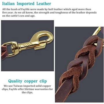 FAIRWIN Leather Dog Leash 6 Ft Braided Heavy Duty Walking