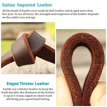 FAIRWIN Leather Dog Leash 6 Ft Braided Heavy Duty Walking