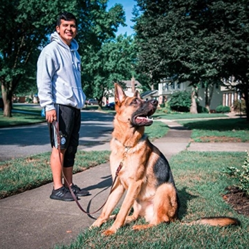 FAIRWIN Leather Dog Leash 6 Ft Braided Heavy Duty Walking