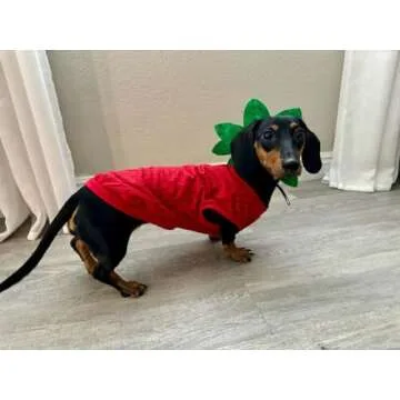 Midlee Strawberry Dog Costume for Medium Breeds – Fun & Cute!