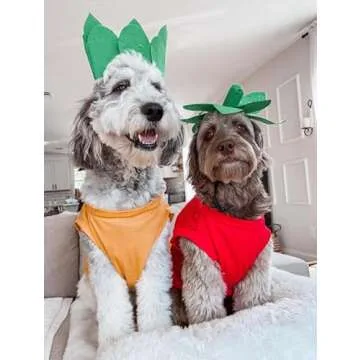 Midlee Strawberry Dog Costume for Medium Breeds – Fun & Cute!