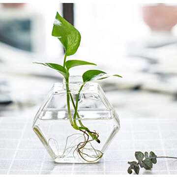 Stylish Kingbuy Hexagon Wall Planter Set - 3 Pack